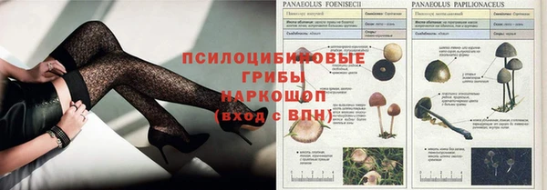 apvp Арсеньев