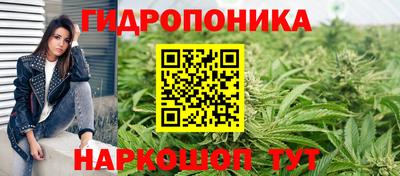 ешки Волгодонск