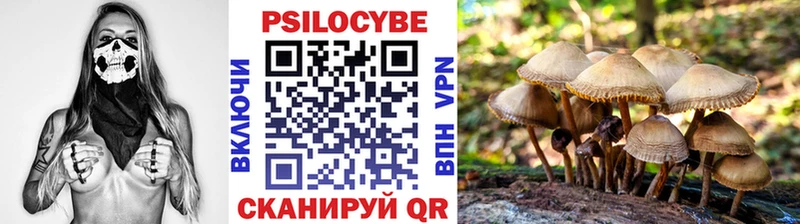 Галлюциногенные грибы Cubensis  Коркино 