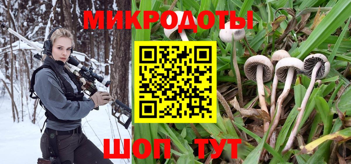 Псилоцибиновые грибы Psilocybe Коркино