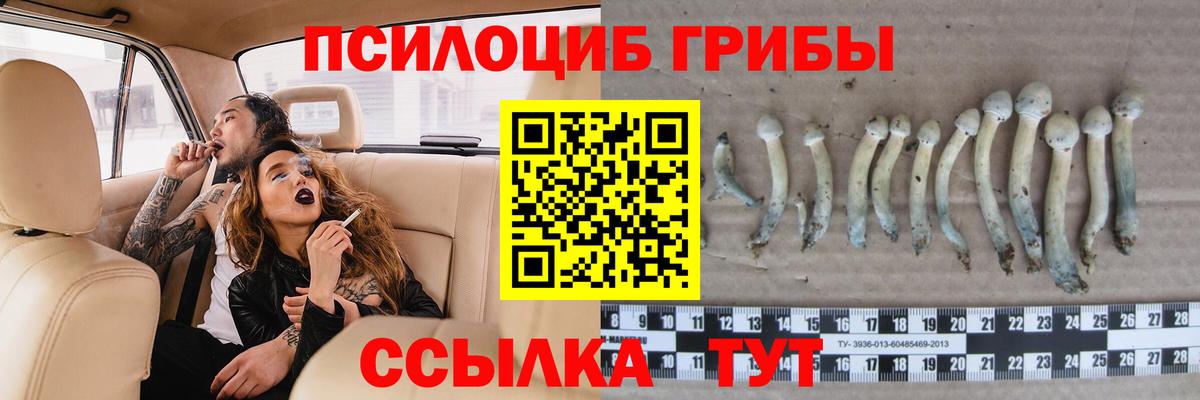 Псилоцибиновые грибы мицелий Коркино